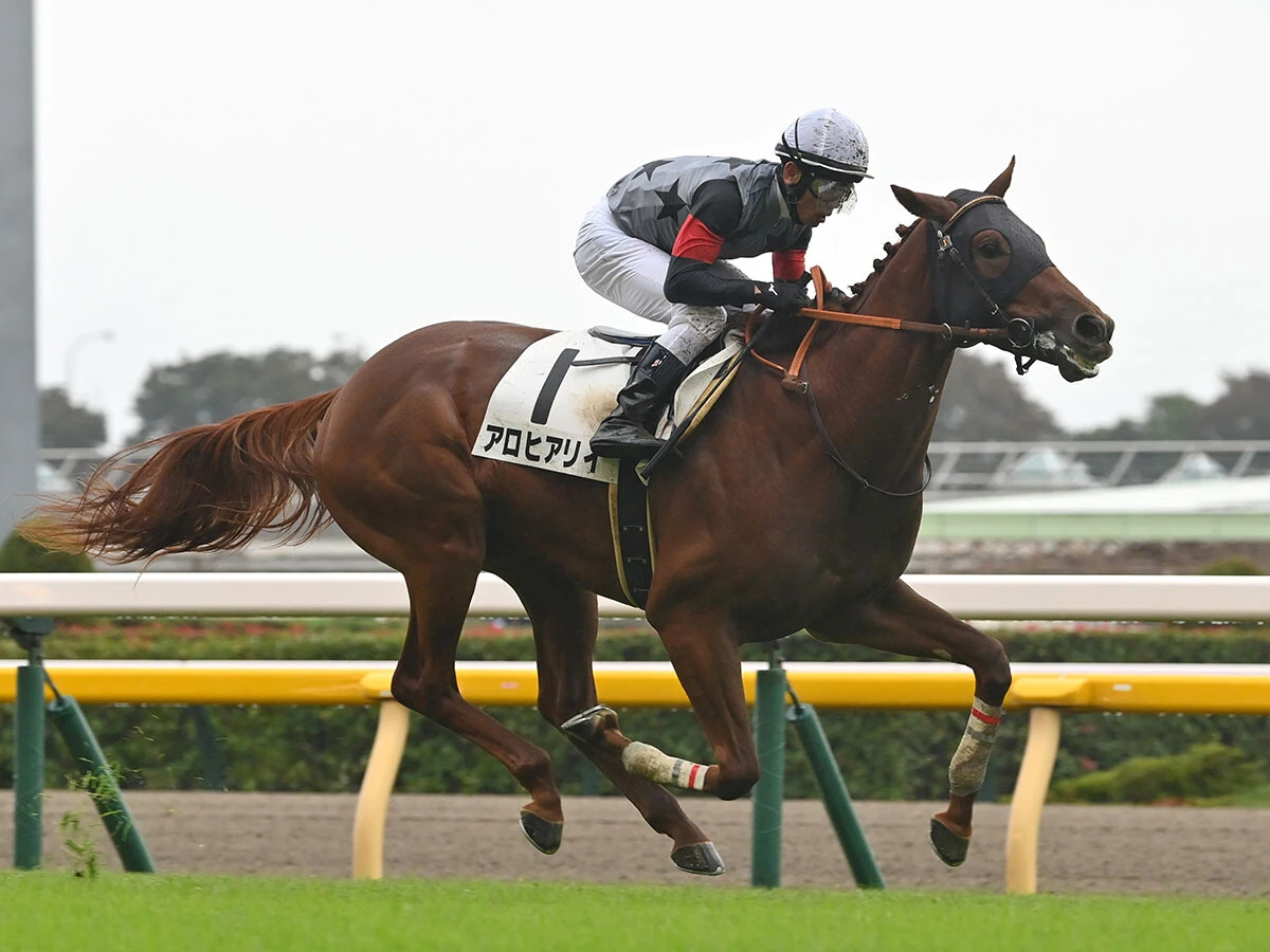 ここまで３戦１勝のアロヒアリイ　photo by Sankei Visual