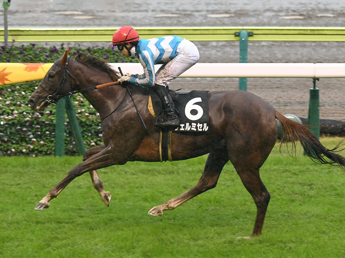 【競馬予想】エリザベス女王杯は人気薄馬の血統も要チェック　本命の有馬記念馬レガレイラに対抗しそうな２頭は？