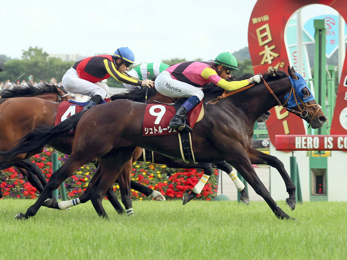 【競馬予想】波乱も多いハンデ戦、アルゼンチン共和国杯で注目の血統は？　コース適正が高い２頭で穴を狙う