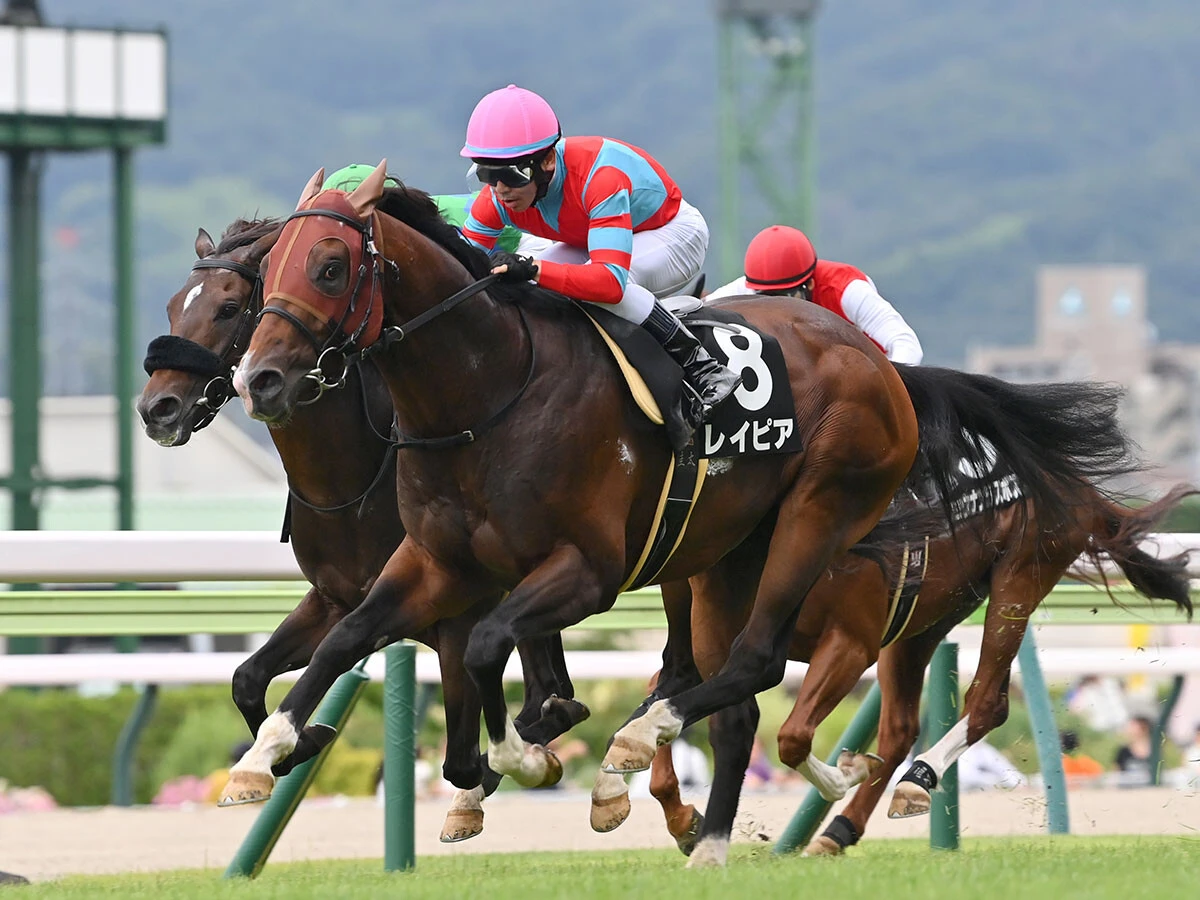 タワーオブロンドン産駒のレイピア　photo by Sankei Visual