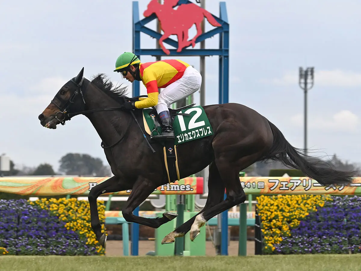 【競馬予想】オークスは「2400ｍに合いそうな血統」に注目　３歳牝馬ナンバーワンへと駆け抜けそうな２頭は？