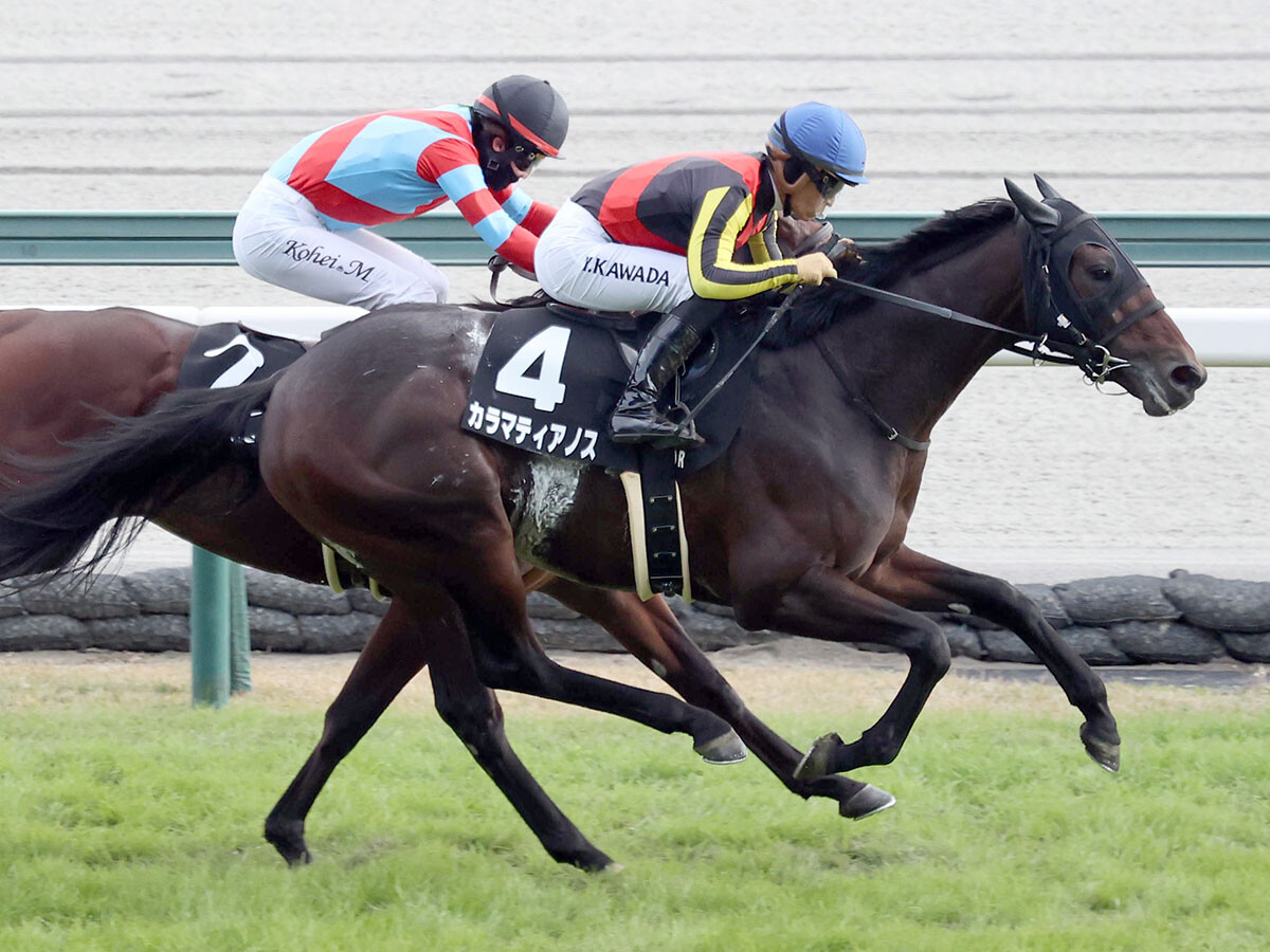 前走のこうやまき賞を制したカラマティアノス　photo by Sankei Visual