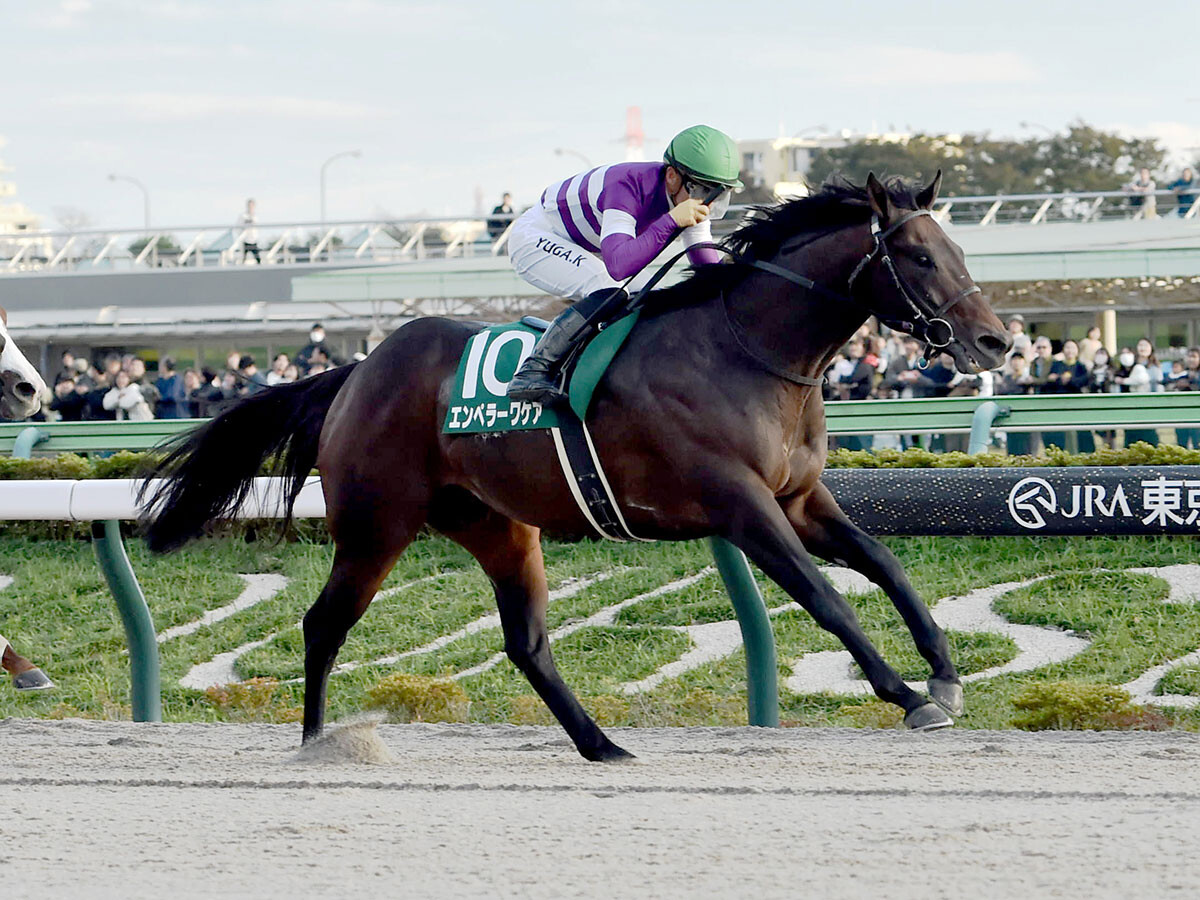 【競馬予想】フェブラリーＳで注目の血統は「ミスプロ系」　ダートで抜群の安定感を誇る２頭に期待