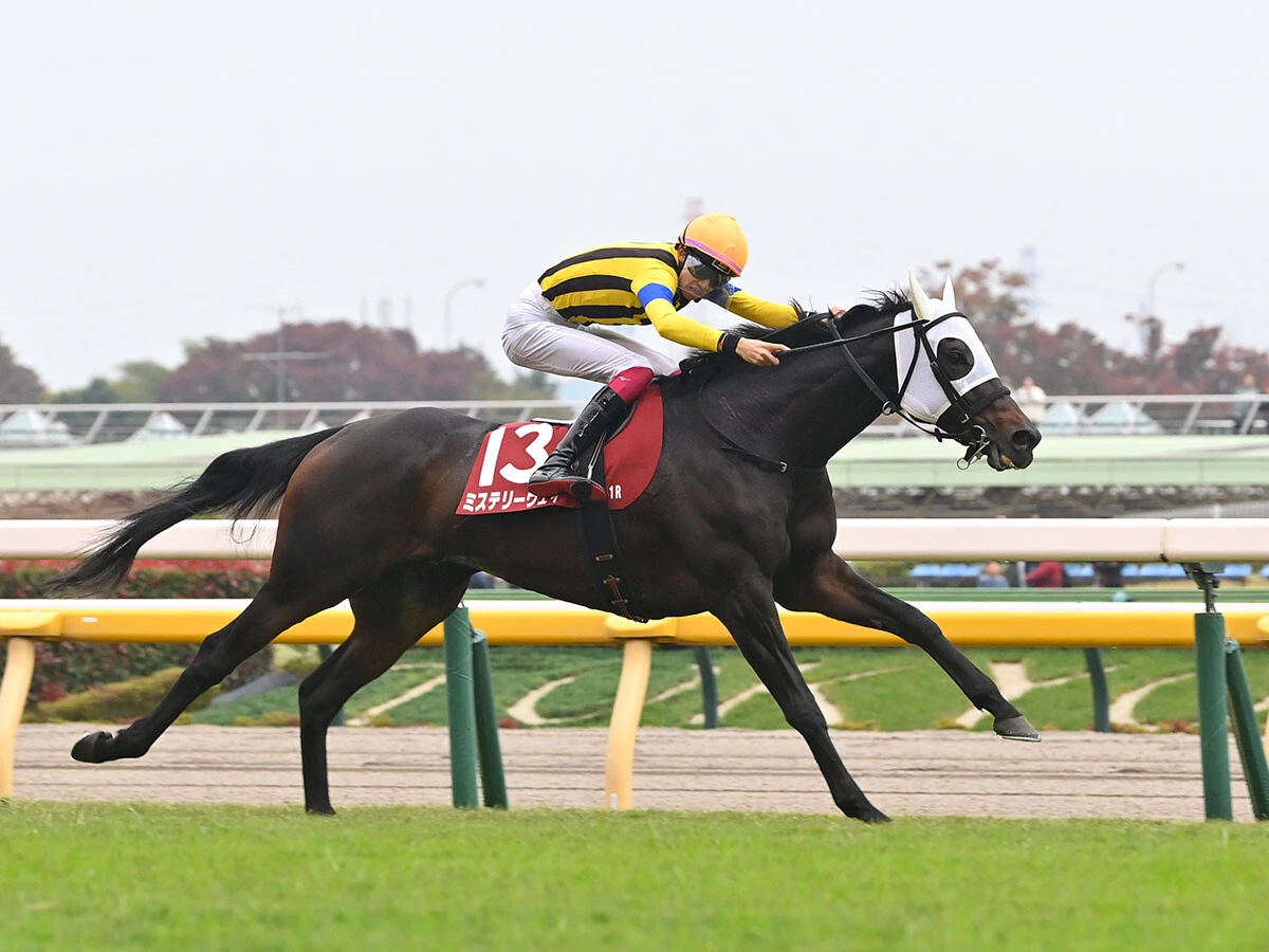 前走のアルゼンチン共和国杯を勝ったミステリーウェイphoto by Sankei Visual