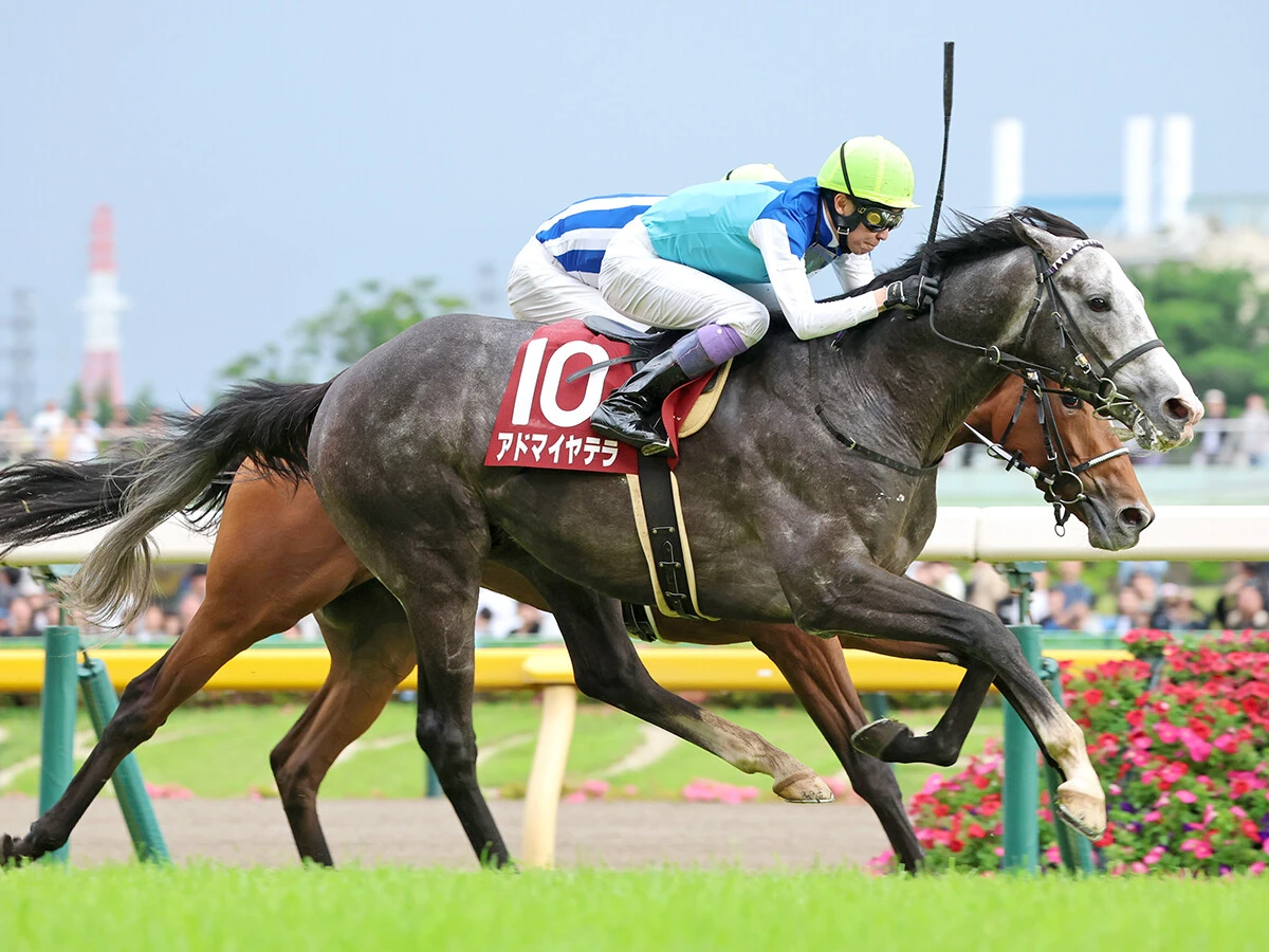 【競馬予想】有馬記念はダノンデサイルに逆転の目あり！　一発あるならJCの雪辱期す「あの馬」