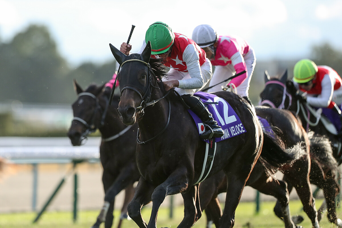 激戦の３歳牝馬戦線――年明け早々、桜花賞とオークスの勝ち馬を予想してみた！