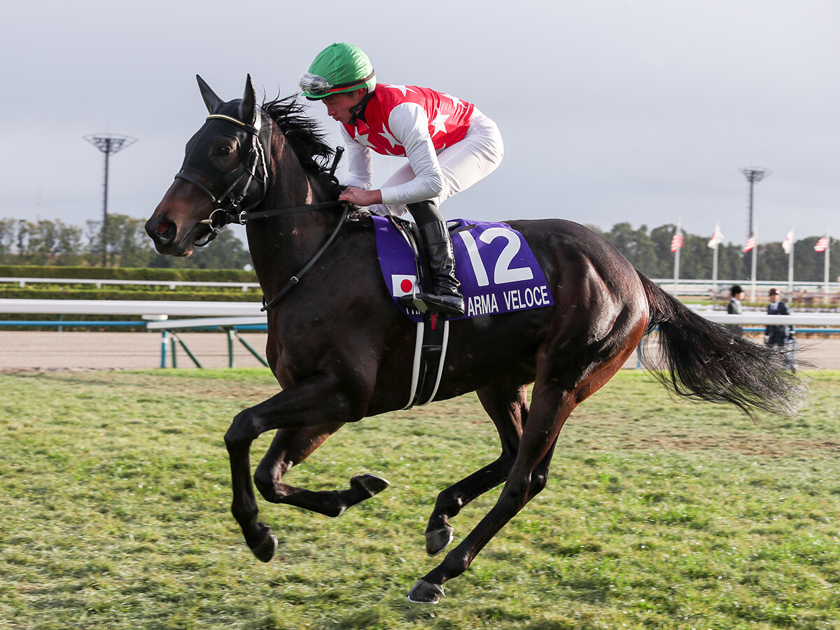 安藤勝己が選定した「３歳牝馬番付」　ハイレベルな世代の女王候補は？