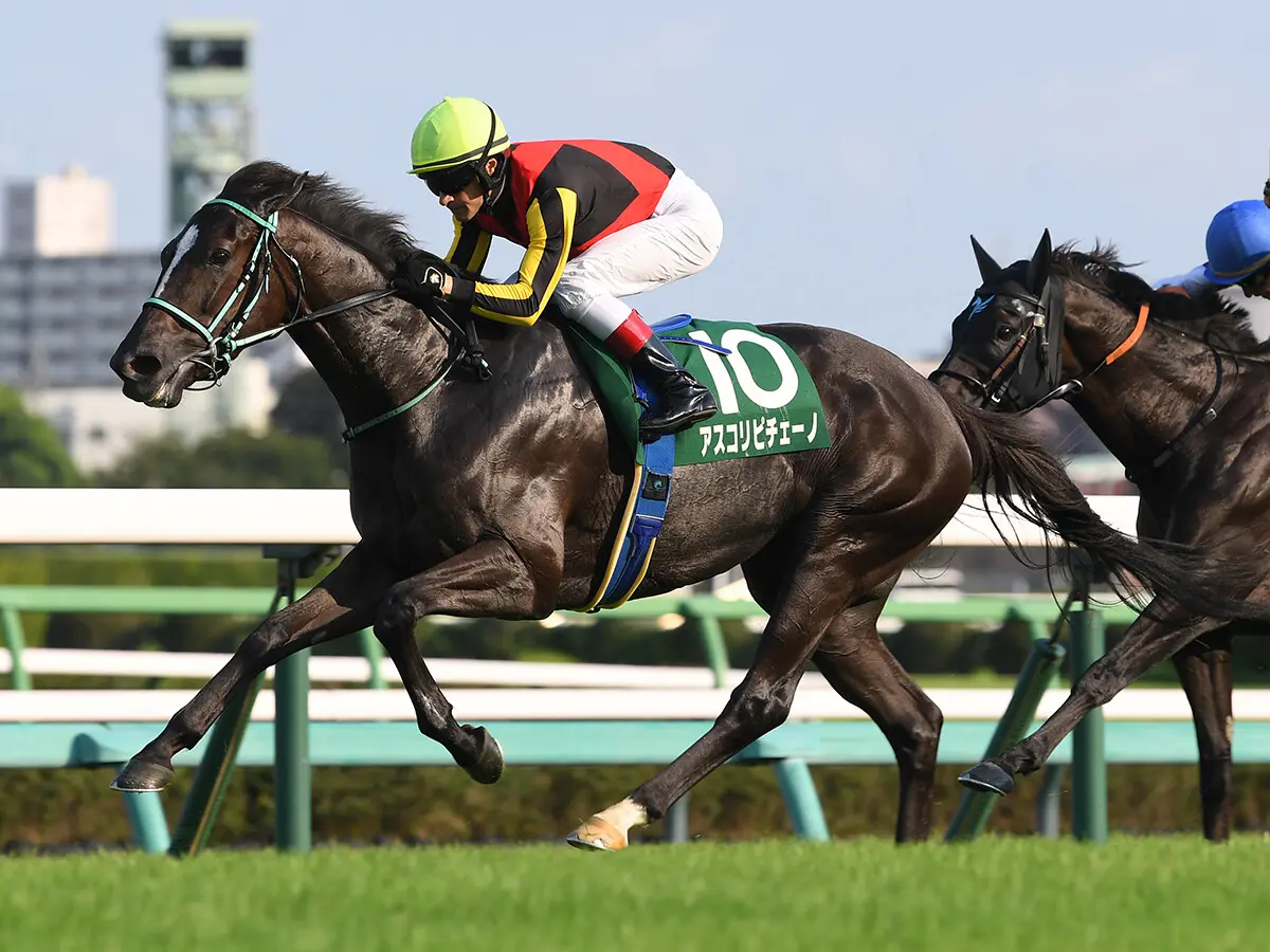 【競馬予想】ヴィクトリアマイル、本命視されるアスコリピチェーノが抱える懸念