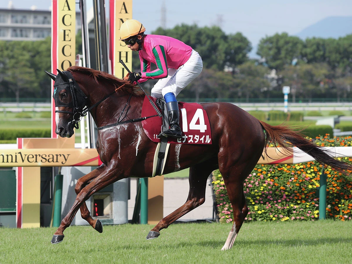 ＧⅠ初勝利を狙うセナスタイル　photo by Eiichi Yamane/AFLO