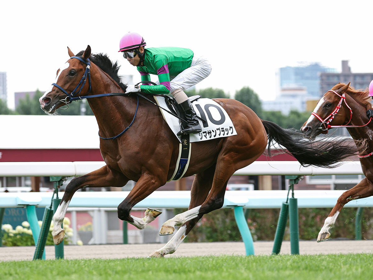 【競馬血統予想】京成杯で注目は？　「出世レース」は中山コースが得意な血を持つ２頭に期待