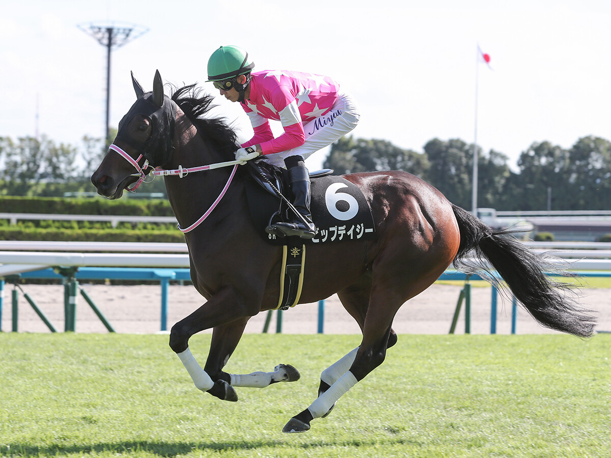 注目のトライアルを前にしてクラシックで有望とされる「３歳牝馬ランキング」