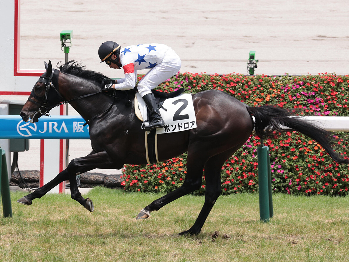 【競馬予想】ダービー組が強い神戸新聞杯　高配当の使者は持久力を秘めた別路線組の２頭