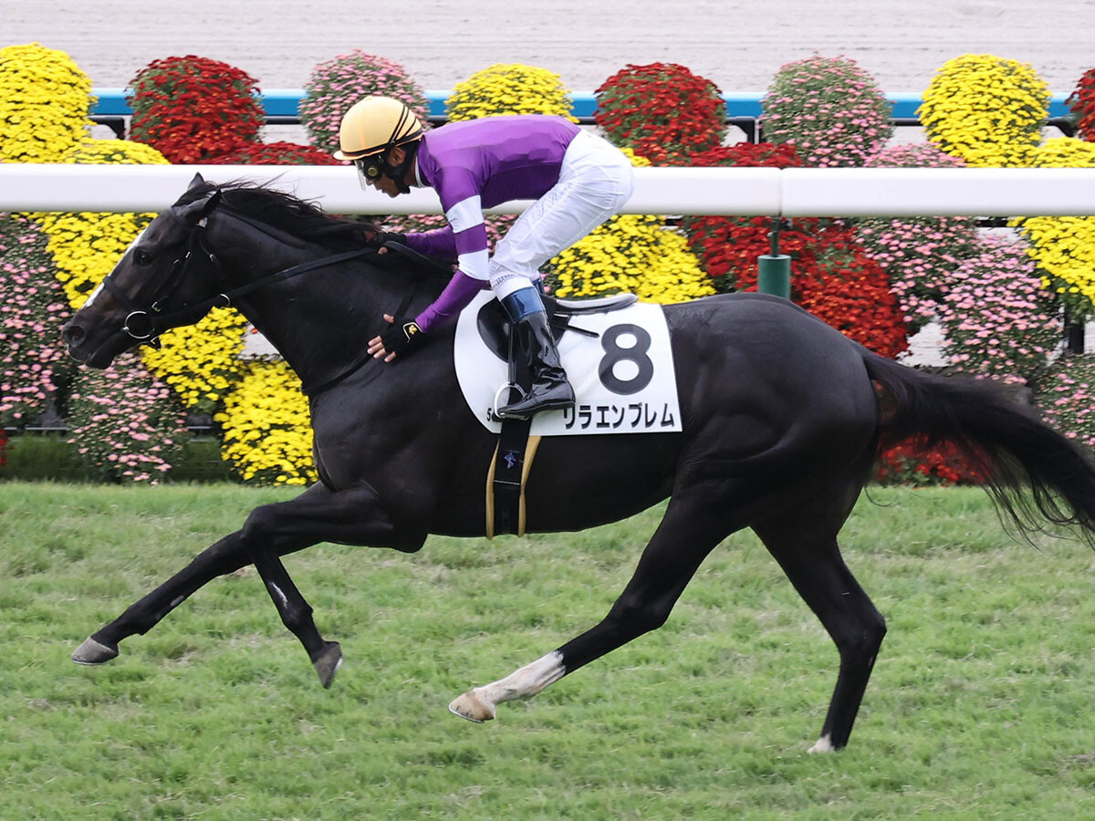 【競馬血統予想】シンザン記念で期待の２頭は？　種牡馬として評価上昇中のキズナ、アドマイヤマーズの血に注目