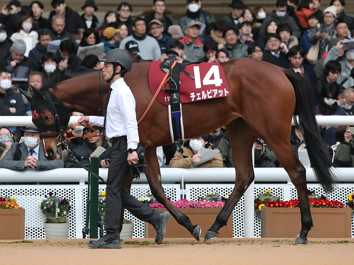 【競馬予想】朝日杯FS組が人気のNHKマイルＣ　密かに注目されているのは桜花賞組の２頭