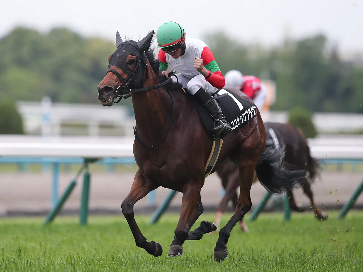 【競馬予想】「スーパーＧII」札幌記念にしては小粒なメンバー構成　舞台合う伏兵の出番も十分にある