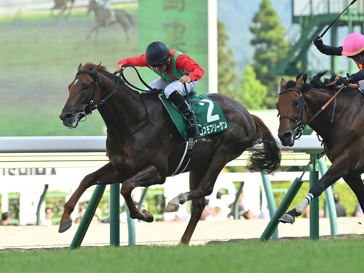 【競馬予想】新潟記念は別定戦になっても「荒れる」　人気の盲点となる伏兵２頭の大駆けに注意せよ