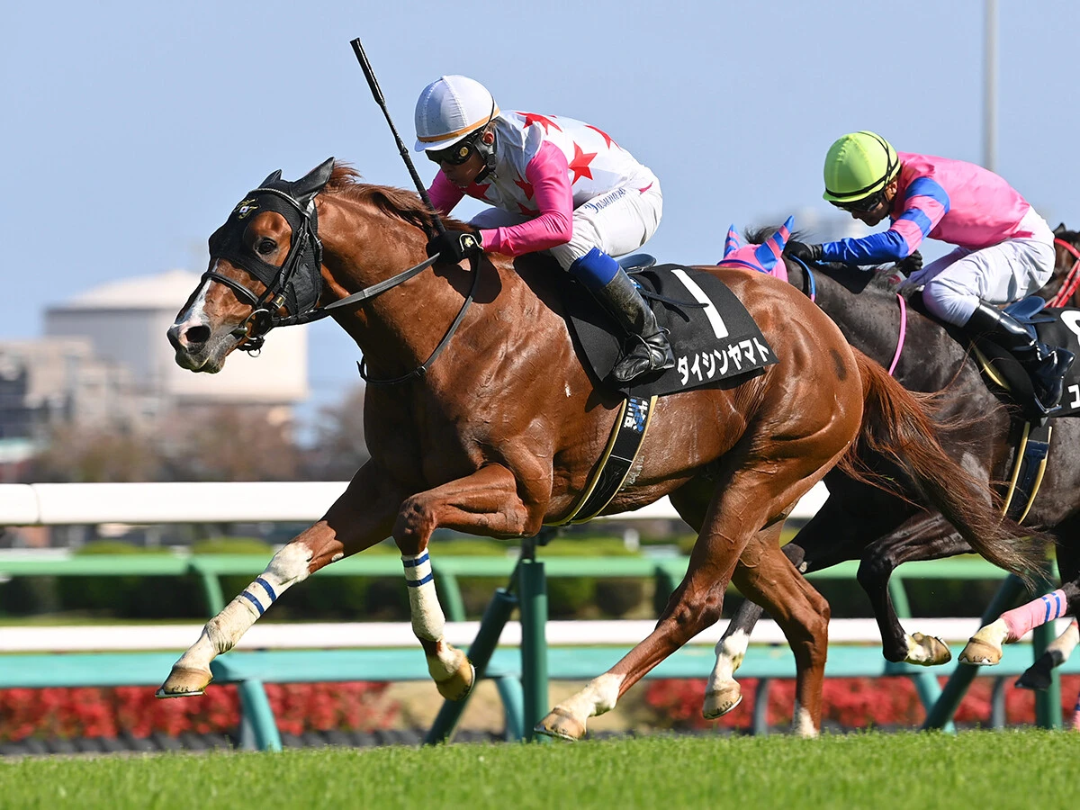 【競馬予想】ハンデ戦になった関屋記念は荒れる!?　格より調子を重視した狙い目２頭の大駆けに期待