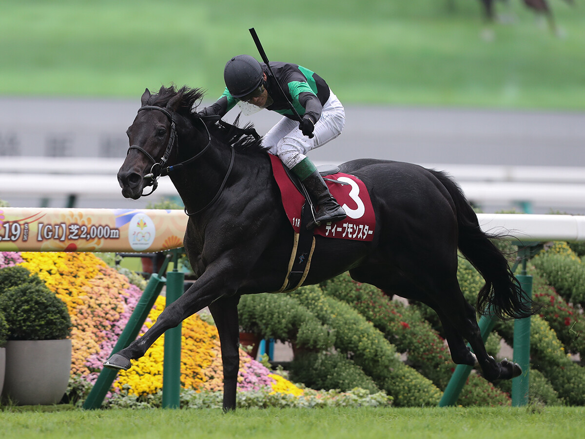 【競馬予想】上位混戦のジャパンカップ　人気馬の間隙を突く可能性がある穴馬候補は２頭いる