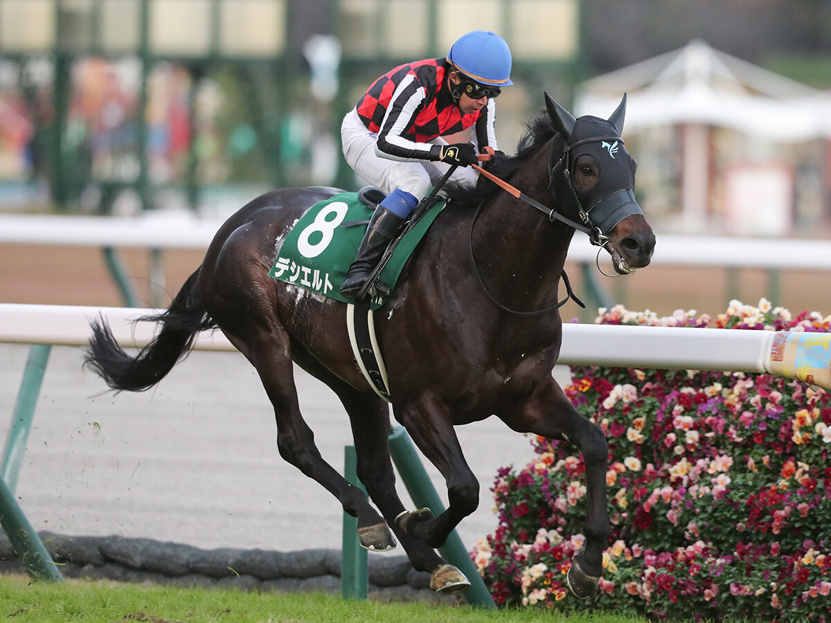 【競馬予想】大阪杯はどこからでも狙える一戦　前を行く伏兵２頭で高配当をゲットせよ