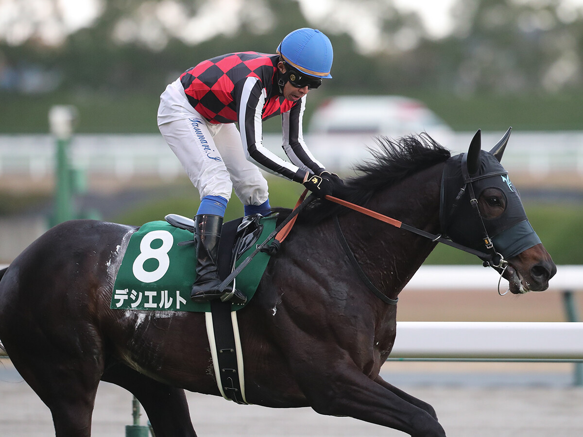 【競馬予想】金鯱賞は先を見据えた有力馬が陥る落とし穴を考慮　異色の良血馬の大駆けに要注意