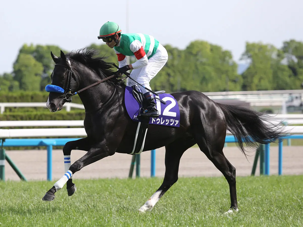 【競馬予想】好メンバーが集結した宝塚記念　配当的に妙味あるＧＩ馬を見つけた