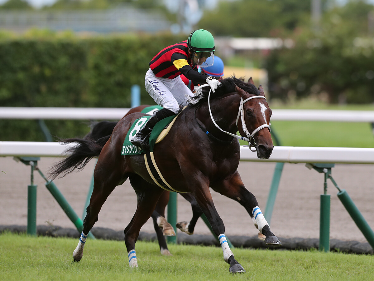 【競馬予想】CBC賞は100万馬券が狙える穴党垂涎の一戦　夏に強い伏兵２頭の大駆けに要注意