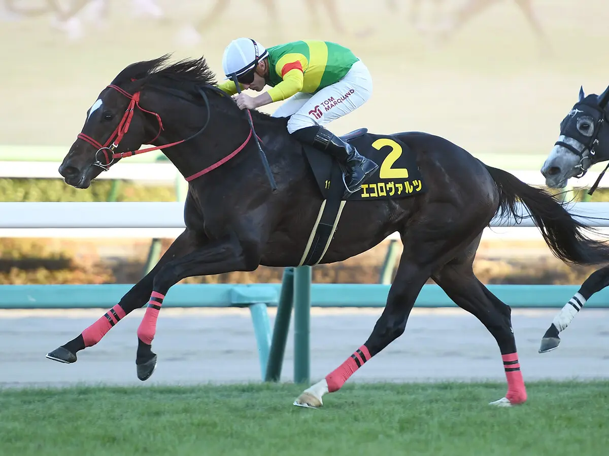 【競馬予想】安田記念は断然の主役は不在　好配当必至のレースで穴党記者激推しの２頭