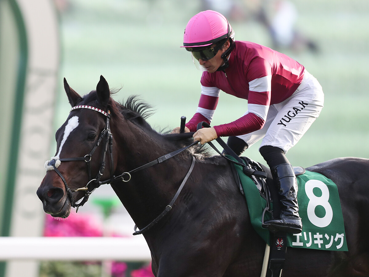 アンカツ厳選の「３歳牡馬番付」　打倒クロワデュノールを果たせる馬はいるのか？