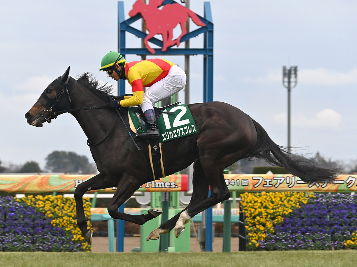【競馬予想】桜花賞で頂点に立つ可能性が最も高いのは？　識者選定「３歳牝馬ランキング」