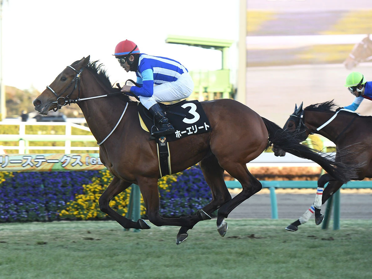 【競馬予想】オールカマーで注目の「中山・2200ｍ」に強い血統は？　人気馬を脅かしそうな２頭をピックアップ