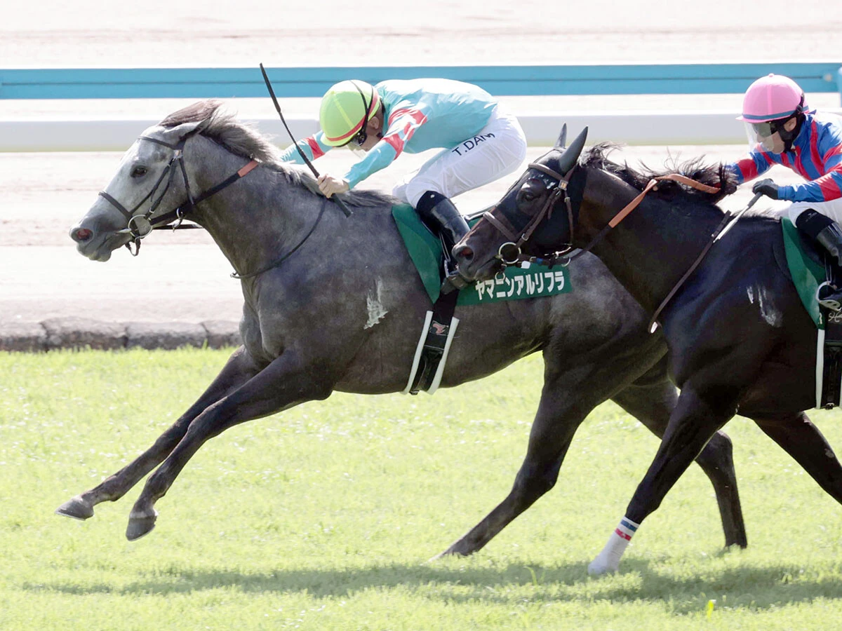 北九州記念に勝ったヤマニンアルリフラ　photo by Sankei Visual