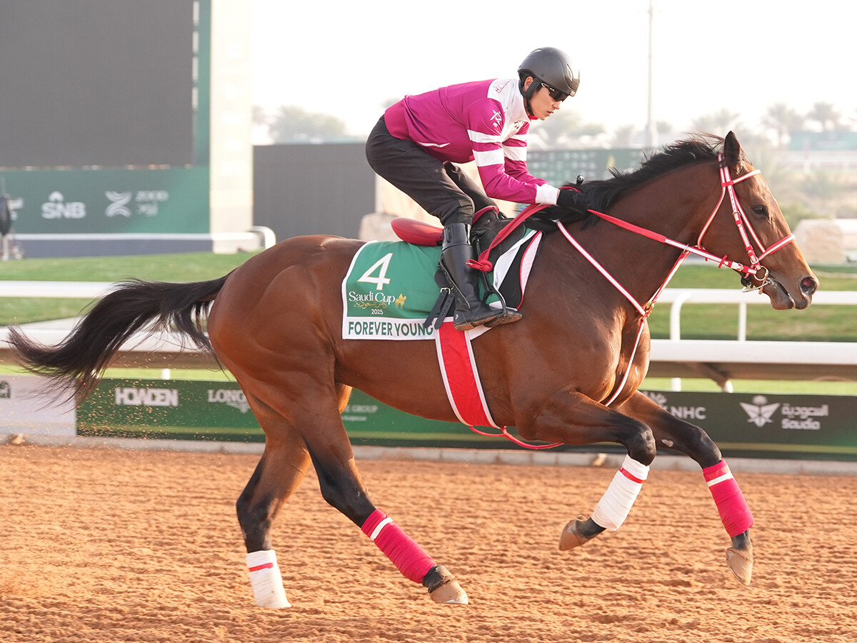 【競馬予想】１着賞金15億円のサウジカップ、勝つのはフォーエバーヤングか、ロマンチックウォリアーか