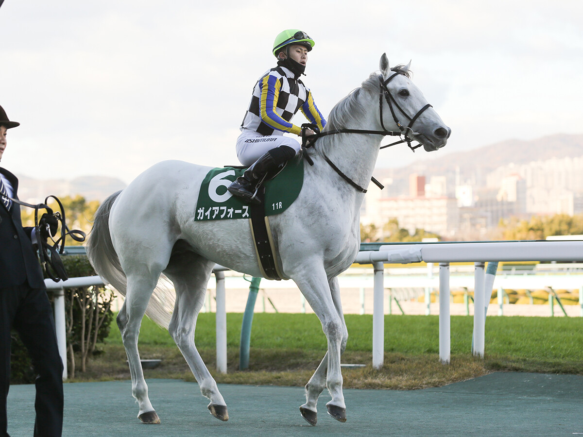 【競馬予想】好メンバーが集ったフェブラリーＳ、実績がありながら人気薄の２頭が爆発の予感