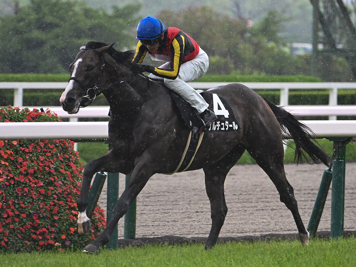 【競馬予想】皐月賞馬＆ダービー馬不在の菊花賞　トレセン内で評判の「３強」を脅かす存在とは