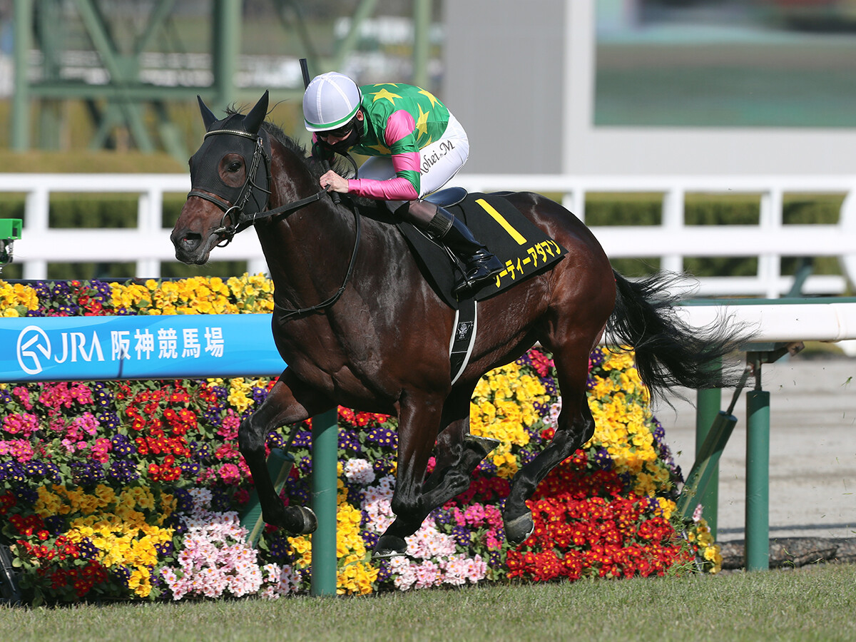 【競馬予想】堅い決着が多いセントライト記念だが、今年は人気の盲点となっている穴馬候補が２頭いる
