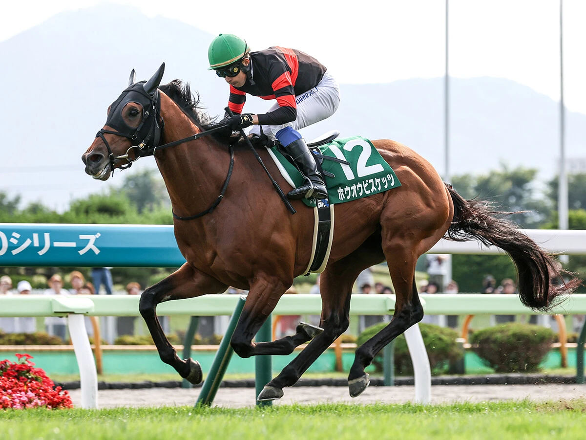 【競馬予想】天皇賞・秋は勢いある３歳馬が有力も、ここが大目標の５歳馬の躍進にも要注意　