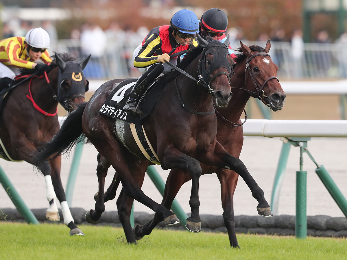 【競馬予想】１番人気が勝てない共同通信杯　代わって浮上するのは過去の激走パターンにハマる３頭