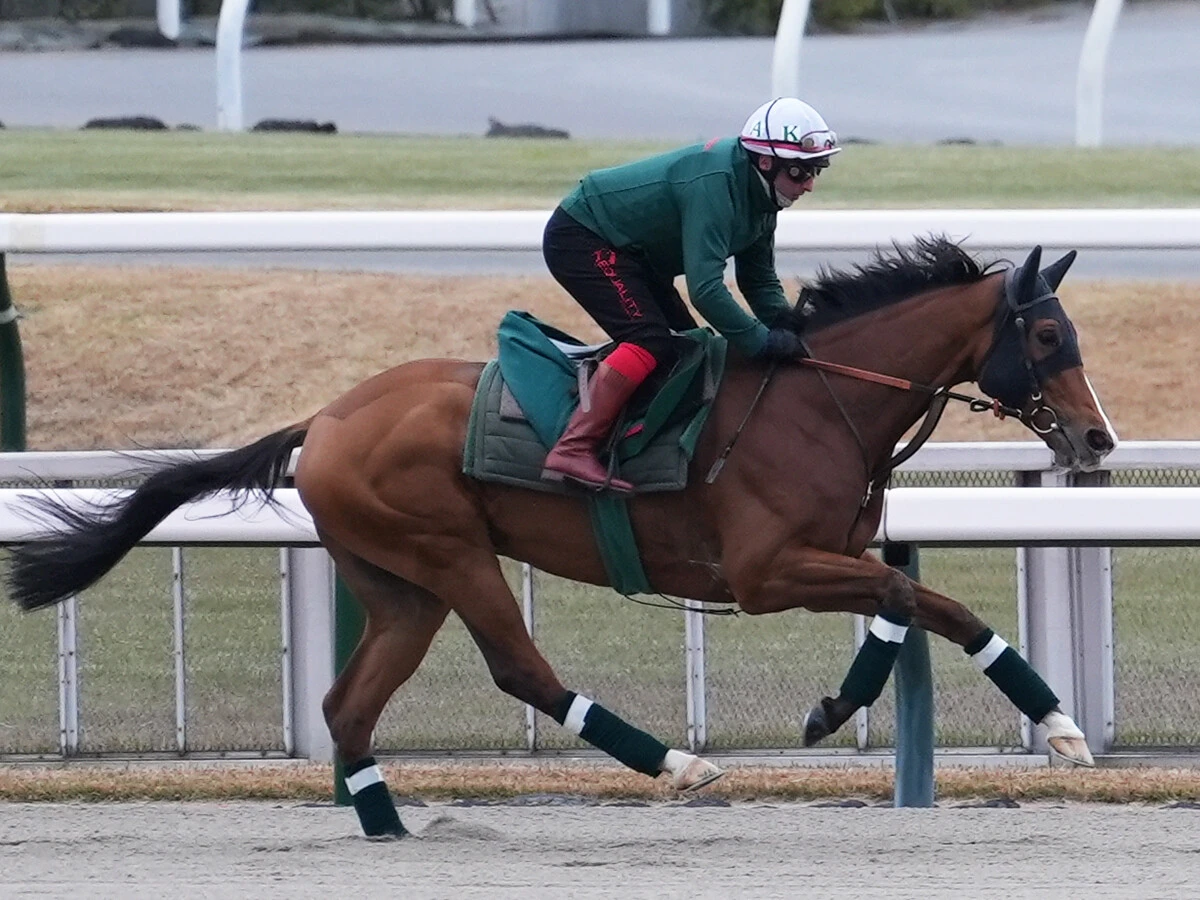 【競馬予想】ジャパンカップに挑む「大物」外国馬カランダガン　欧州最強馬の称号は本物か