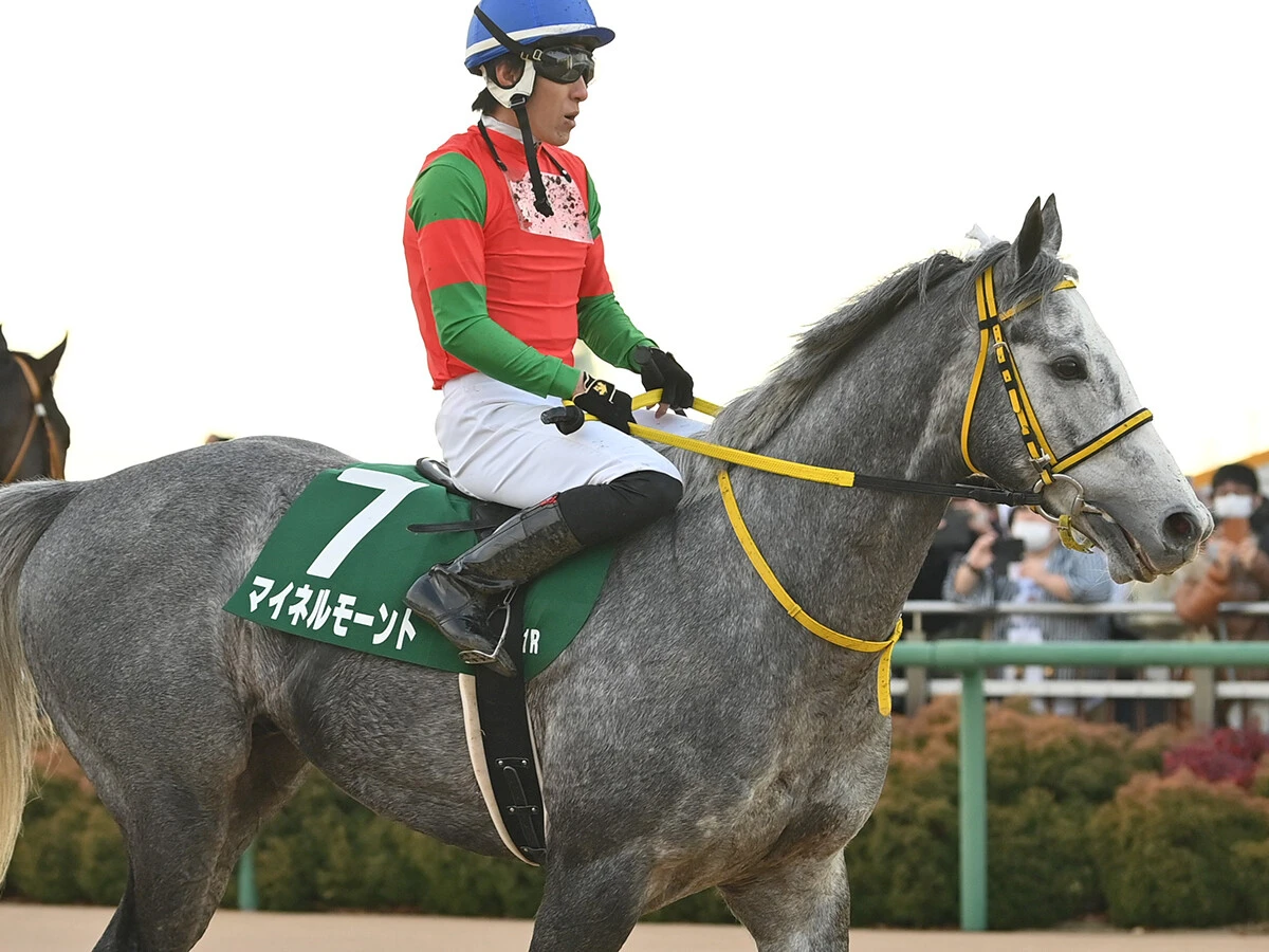 【競馬予想】高額配当必至の函館記念は、中山の重賞で好走実績がある２頭に注意せよ