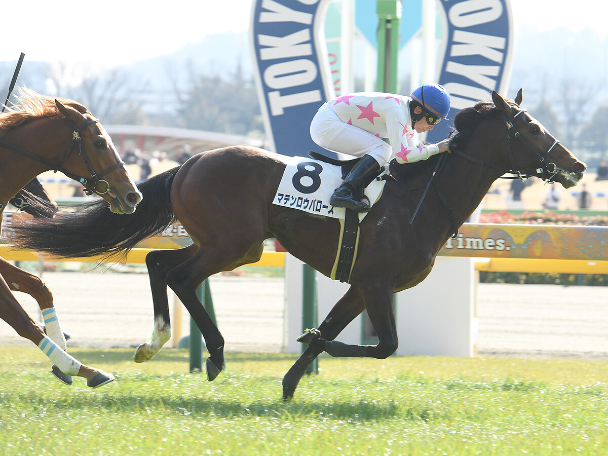 【競馬予想】スプリングＳ、過去データに従えば人気２頭は消し!?　好配当を演出する穴馬候補は？