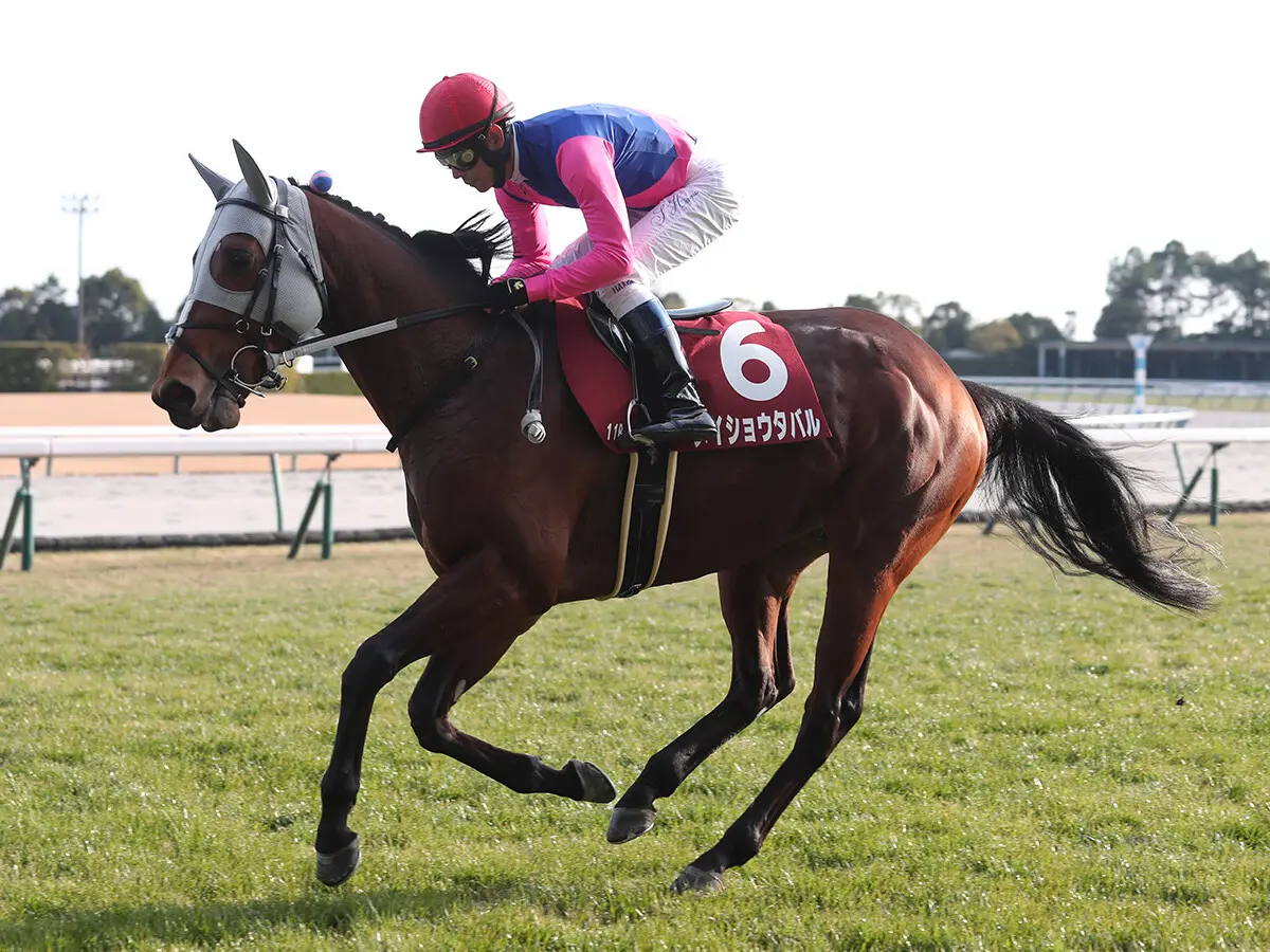 【競馬予想】宝塚記念は「トリッキーな舞台」で力を発揮しそうな伏兵２頭が高配当を演出か