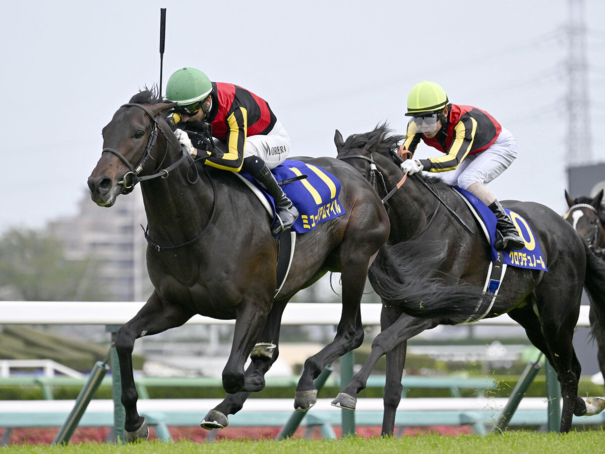【競馬予想】日本ダービーの行方がわかる「３歳牡馬ランキング」 クロワデュノールは今度こそ勝てるのか