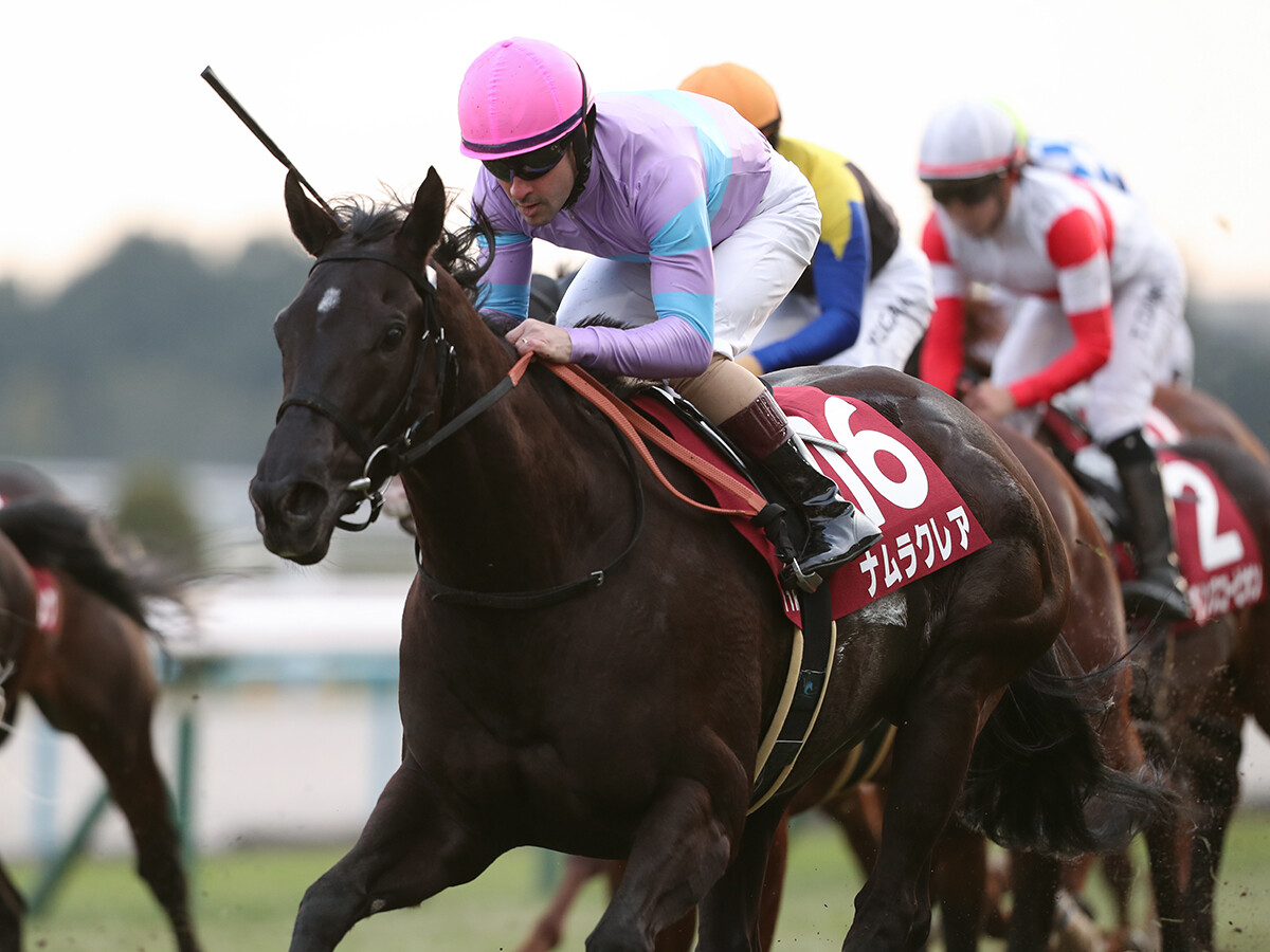 【競馬予想】高松宮記念、２年連続２着のナムラクレアは「今度こそ」戴冠を果たせるのか