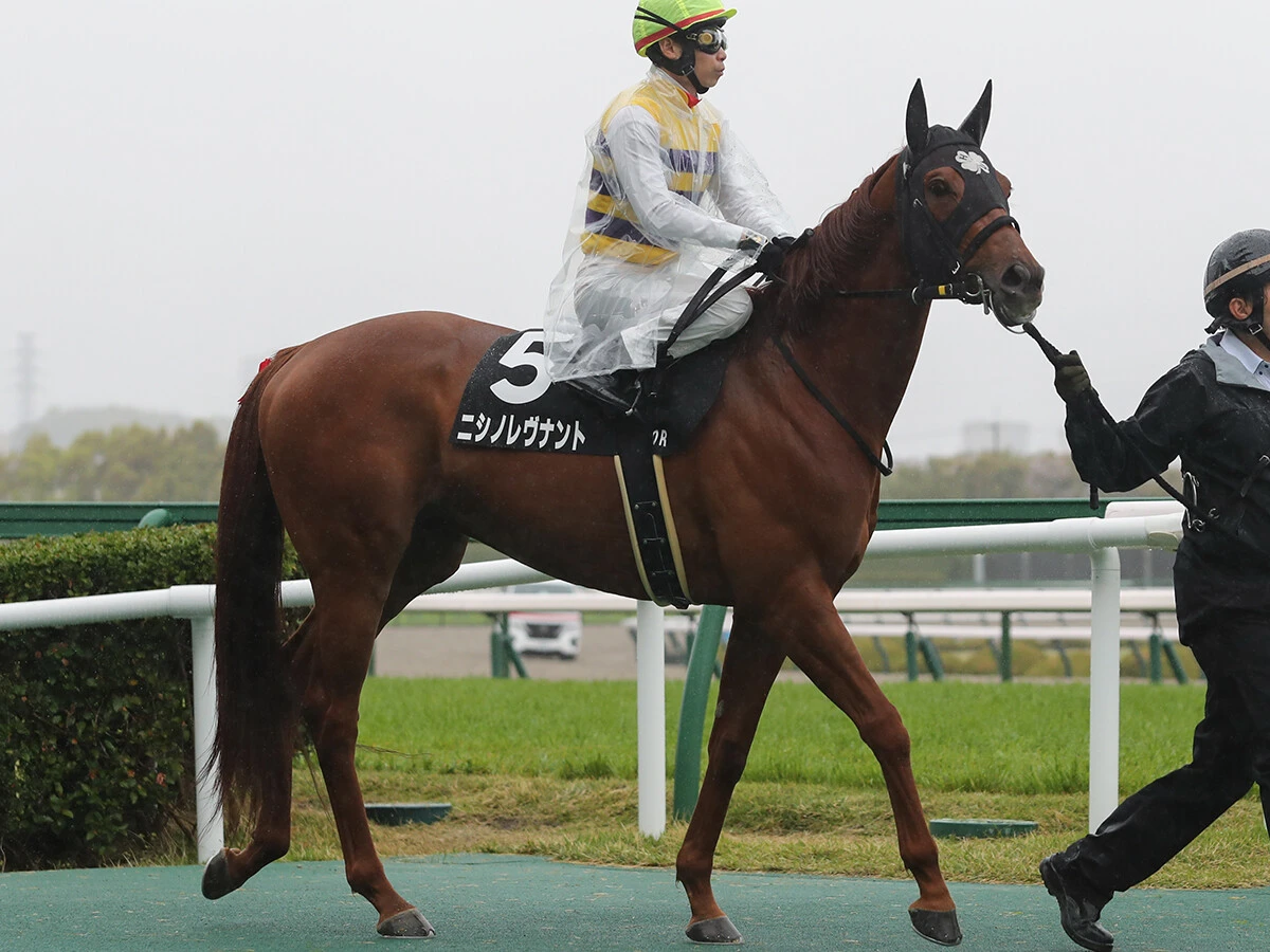 【競馬予想】100万馬券が期待できる七夕賞　ハンデに恵まれた伏兵２頭が高配当を演出か