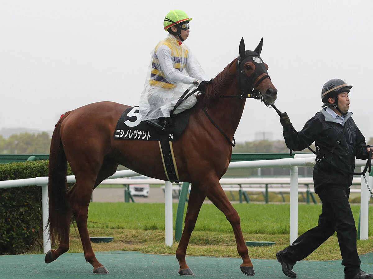 【競馬予想】アルゼンチン共和国杯は荒れる！　持久力と機動力秘めた伏兵２頭が高額配当を演出か