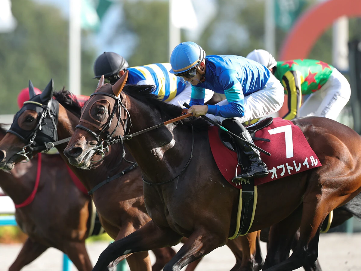 【競馬予想】マイルCSでジャンタルマンタルを脅かすのは？　穴党記者厳選の伏兵２頭に一発の予感