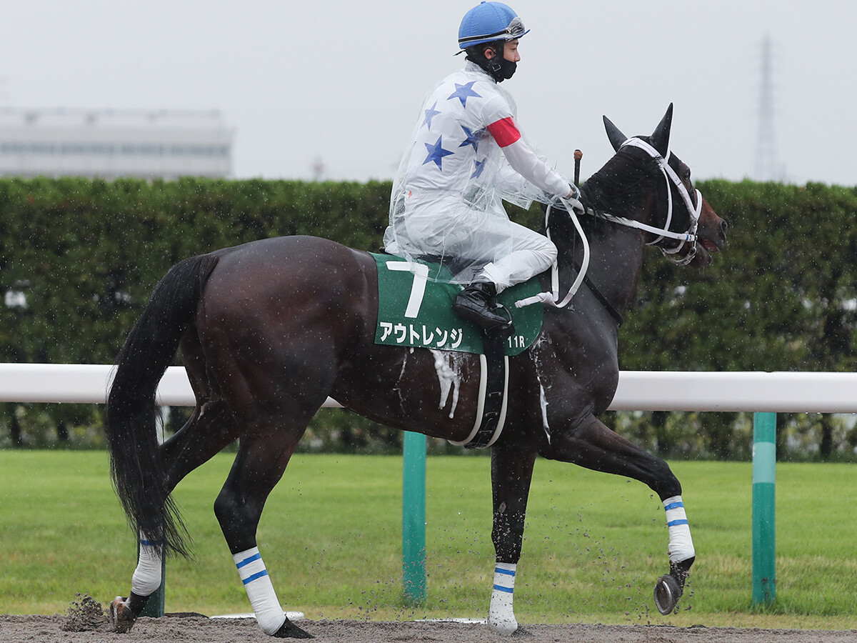 【競馬予想】「荒れる」チャンピオンズカップ　舞台合う実力馬２頭でビッグボーナスをゲットせよ