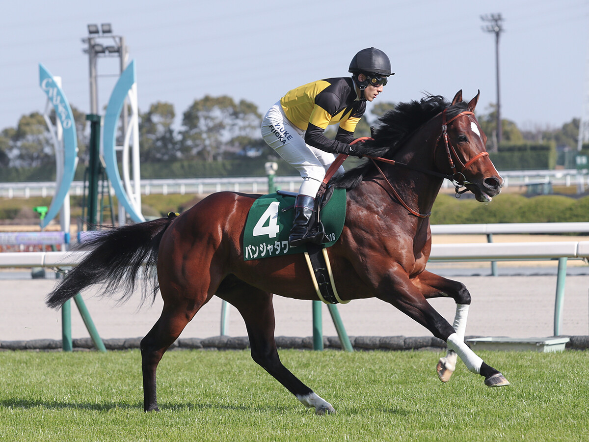 【競馬予想】NHKマイルＣ、波乱の歴史を刻んだ伏兵たちに酷似する穴馬候補を見つけた