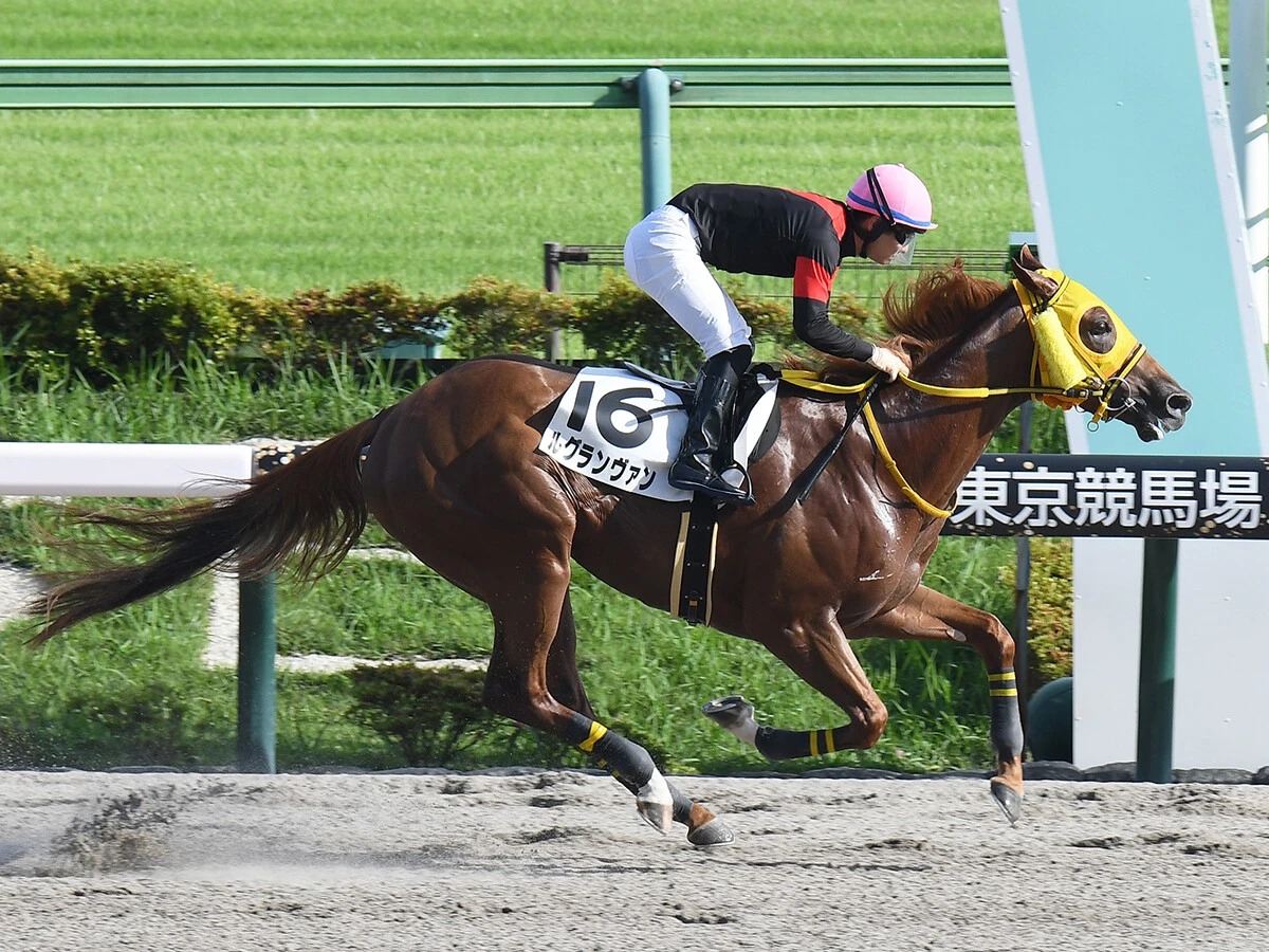 【競馬予想】高配当必至のレパードＳで狙える馬とは？　穴党記者推奨の好走条件に合致した２頭