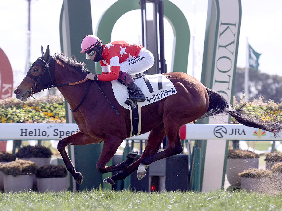 【競馬予想】チューリップ賞は「荒れるレース」に変貌　穴党記者が注目する超ド級の穴馬